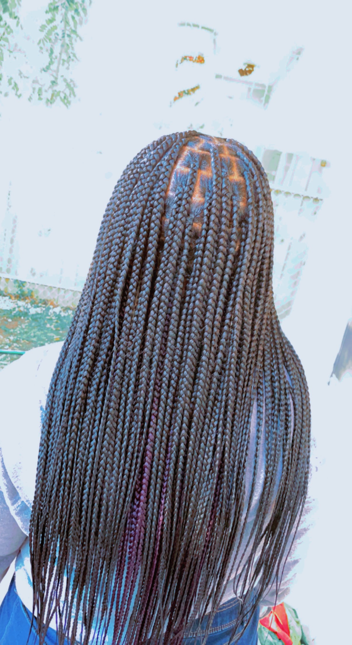 Long knotless box braids viewed from the back